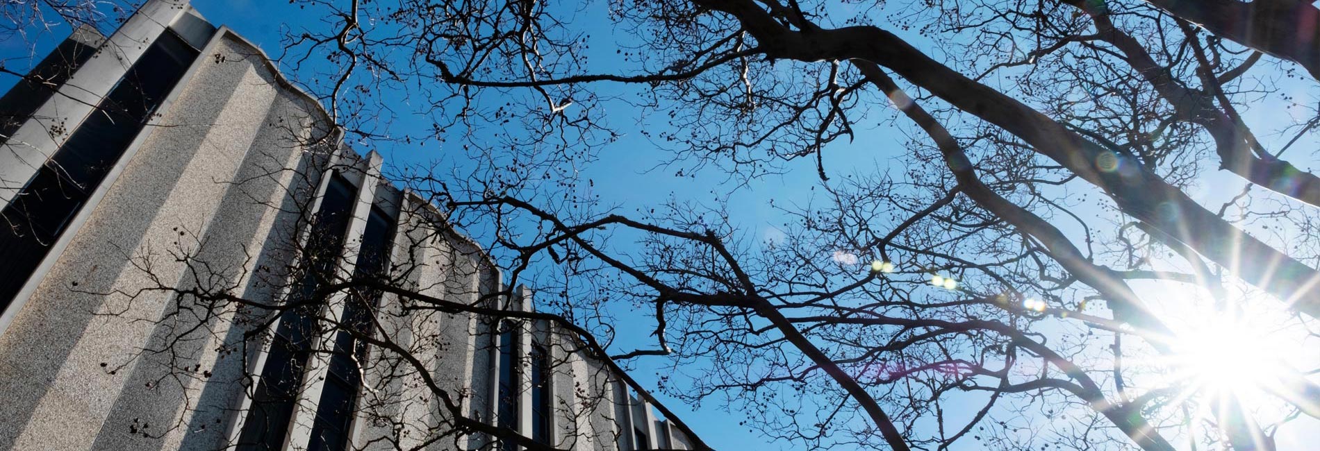 Scenic shots of Mississippi State University campus buildings and areas
