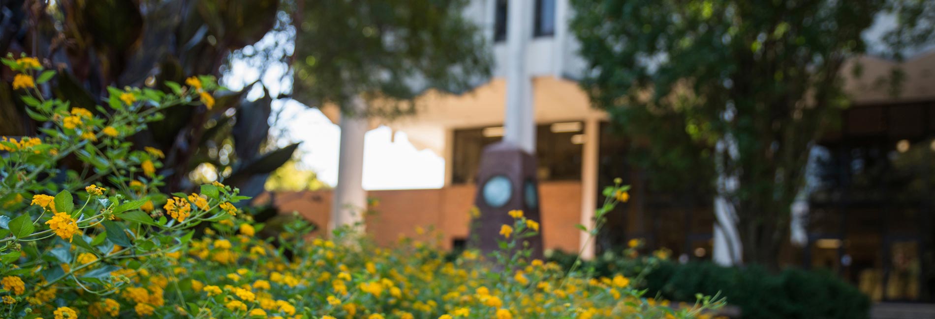 Scenic shots of Mississippi State University campus buildings and areas