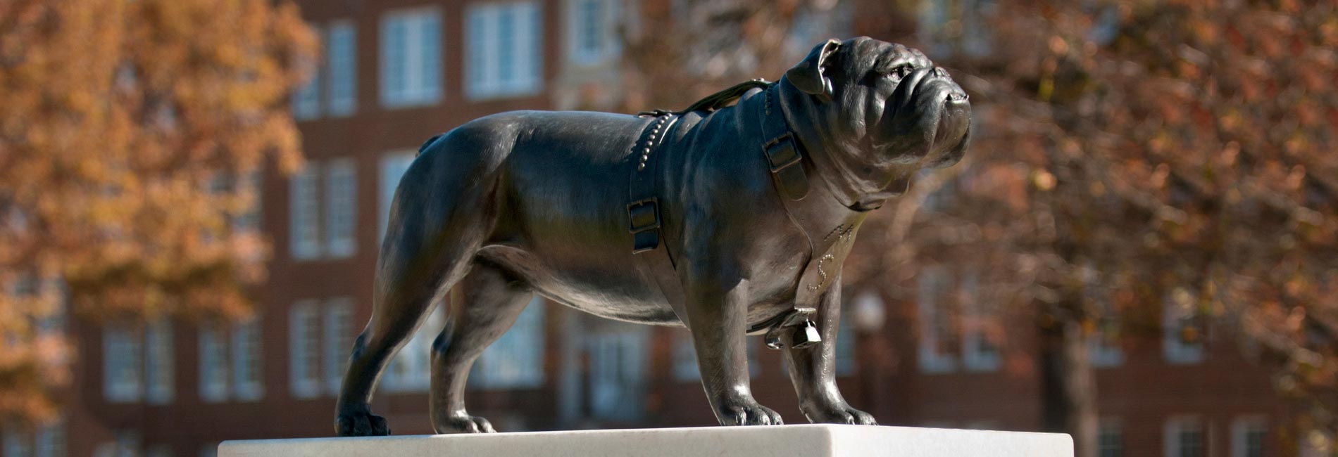 Scenic shots of Mississippi State University campus buildings and areas